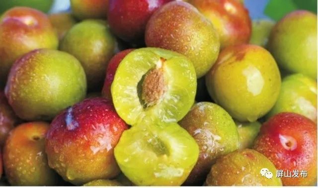 熟了!屏山茵红李大量上市啦!预计今年总产量11万吨(图5) 5.jpg