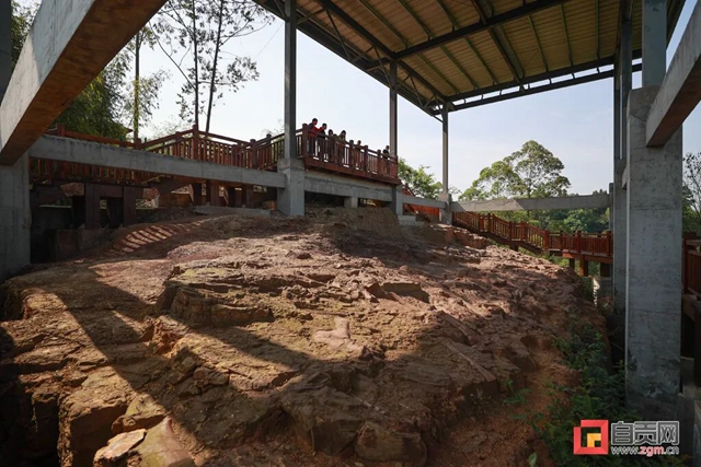 自贡青龙山恐龙化石群研究最新进展!(图5) 5.jpg