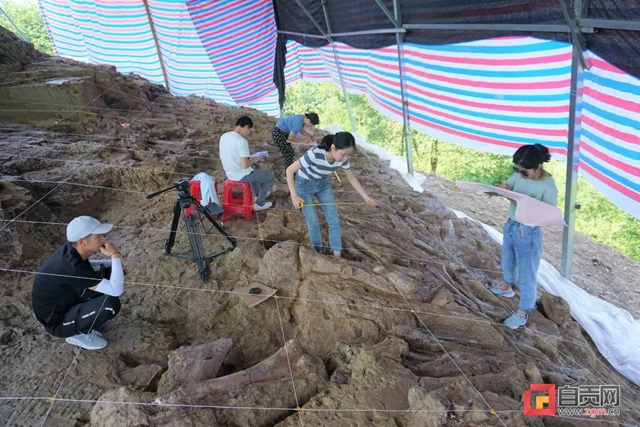 自贡青龙山恐龙化石群研究最新进展!(图10) 10.jpg