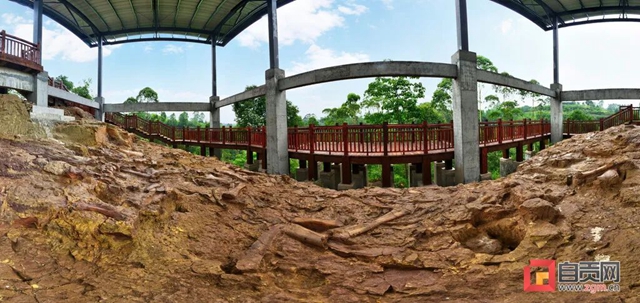 自贡青龙山恐龙化石群研究最新进展!(图11) 11.jpg