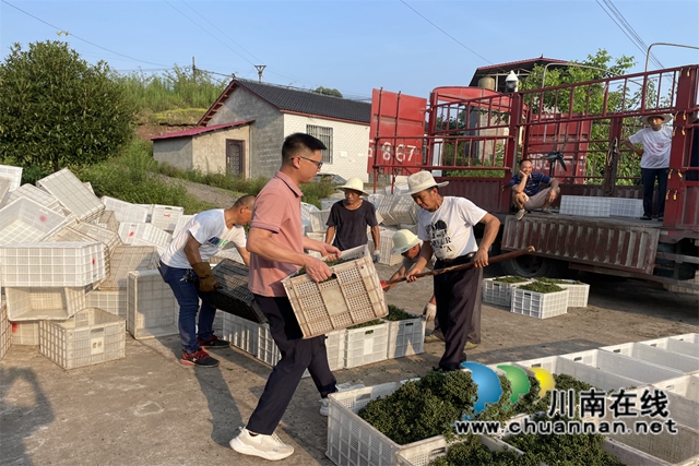驻村第一书记韩月（左一）搬运装车鲜花椒.jpg