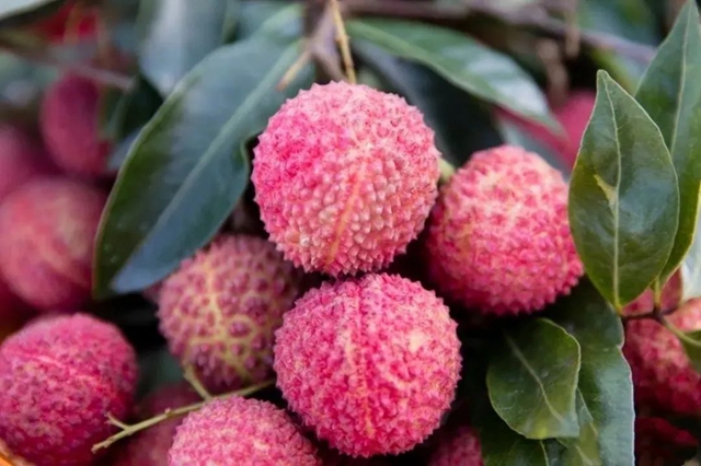 泸州文旅消费季一大波优惠来了!6000万消费券+打折+活动(图9) 9.jpg