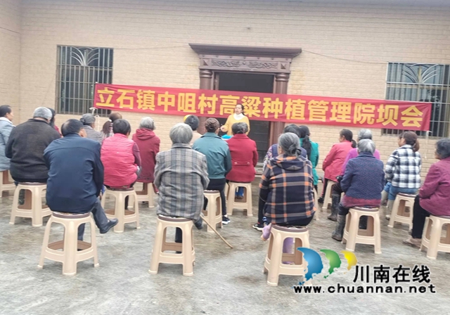 泸县立石镇:三措并举,撂荒地奏出乡村振兴曲(图3) 图片4.jpg