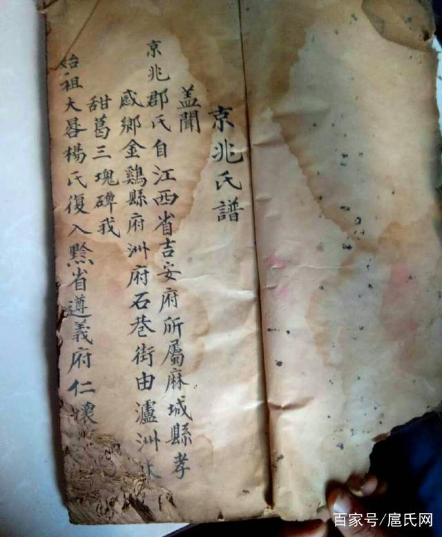罗1.png