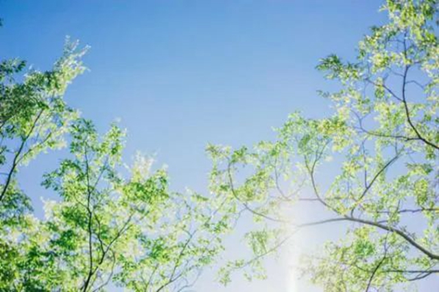 【扩散】夏天湿气重，如何防治？