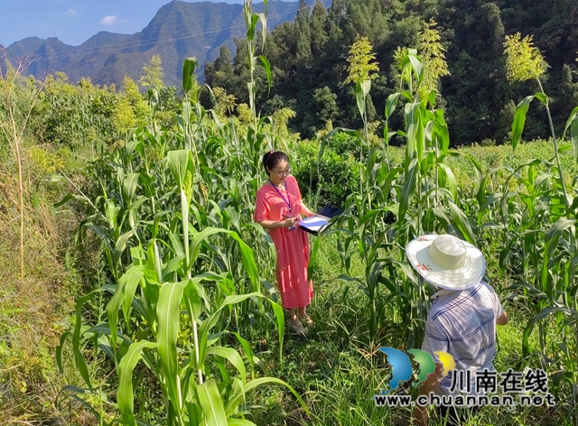 永乐街道党风政风监督员在行动 (3).jpg