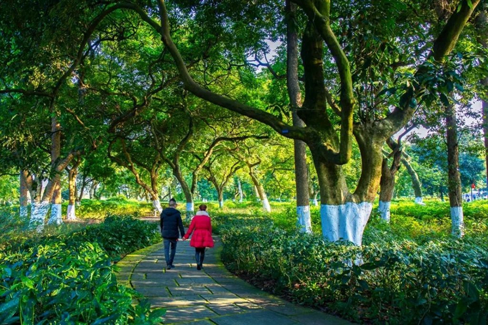 泸州外宣资源又上新啦!大量酒城美图、高清外宣片可免费下载(图4) 4.jpg