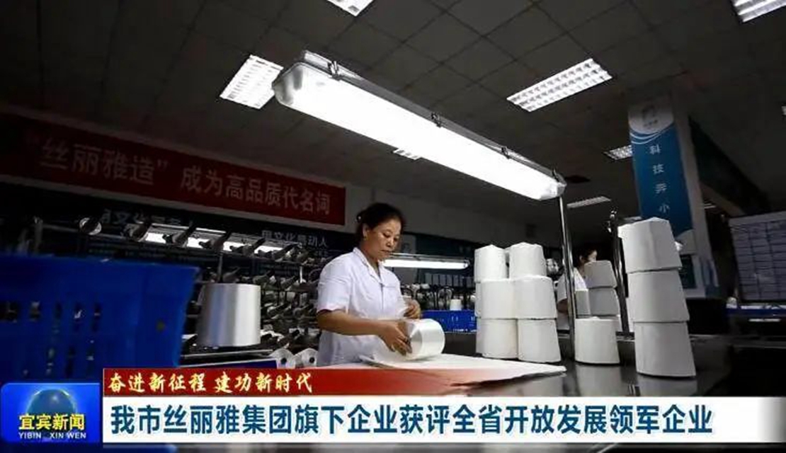 全省第二!宜宾外贸逆势而起(图3) 3.jpg