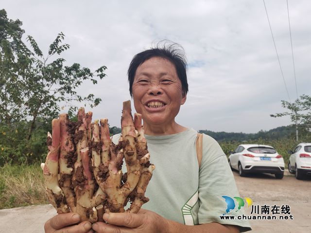 姜农展示牛滩生姜（曾佐然摄）.jpg
