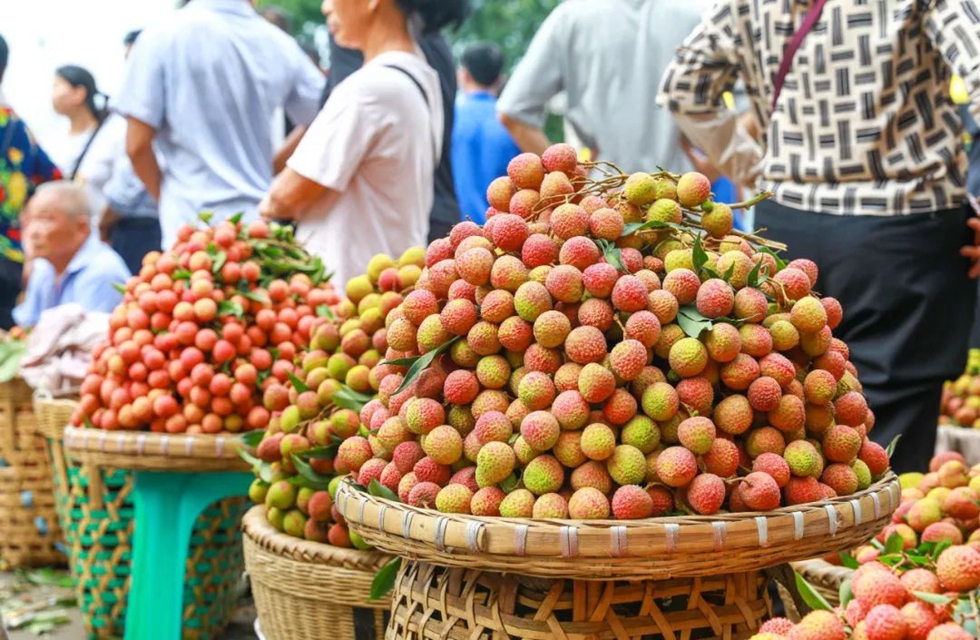 7月是甜味的!合江荔枝登上中国国家地理(图3) 3.jpg