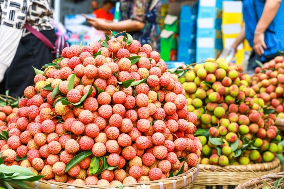 7月是甜味的!合江荔枝登上中国国家地理(图5) 5.jpg