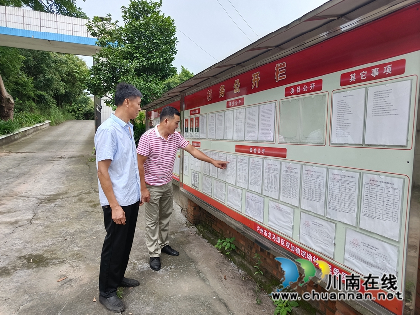 双加镇凉坳村党风政风监督员监督该村村务公开工作（夏华丽 摄）.jpg