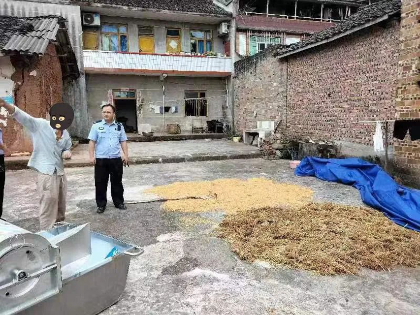 泸县:男子摸黑“丰收”高粱,次日民警就上门(图4) 4.jpg