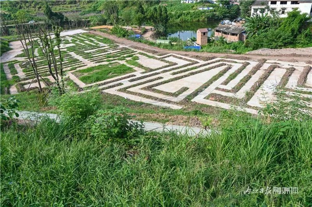 占地约400亩!内江这里即将诞生一座“甜蜜花园”(图7) 7.jpg