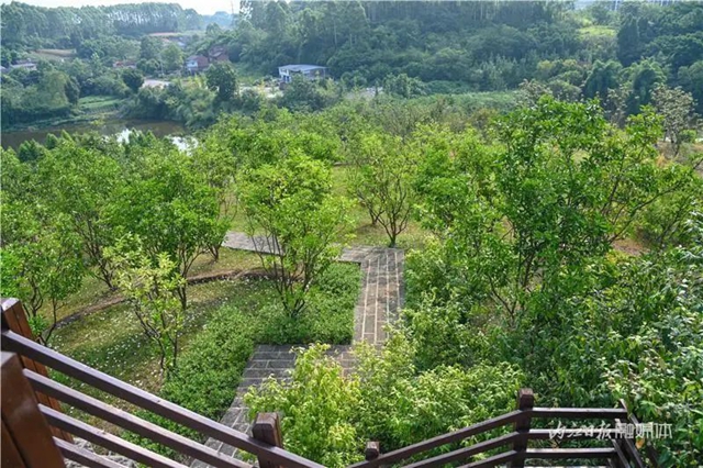 占地约400亩!内江这里即将诞生一座“甜蜜花园”(图10) 10.jpg