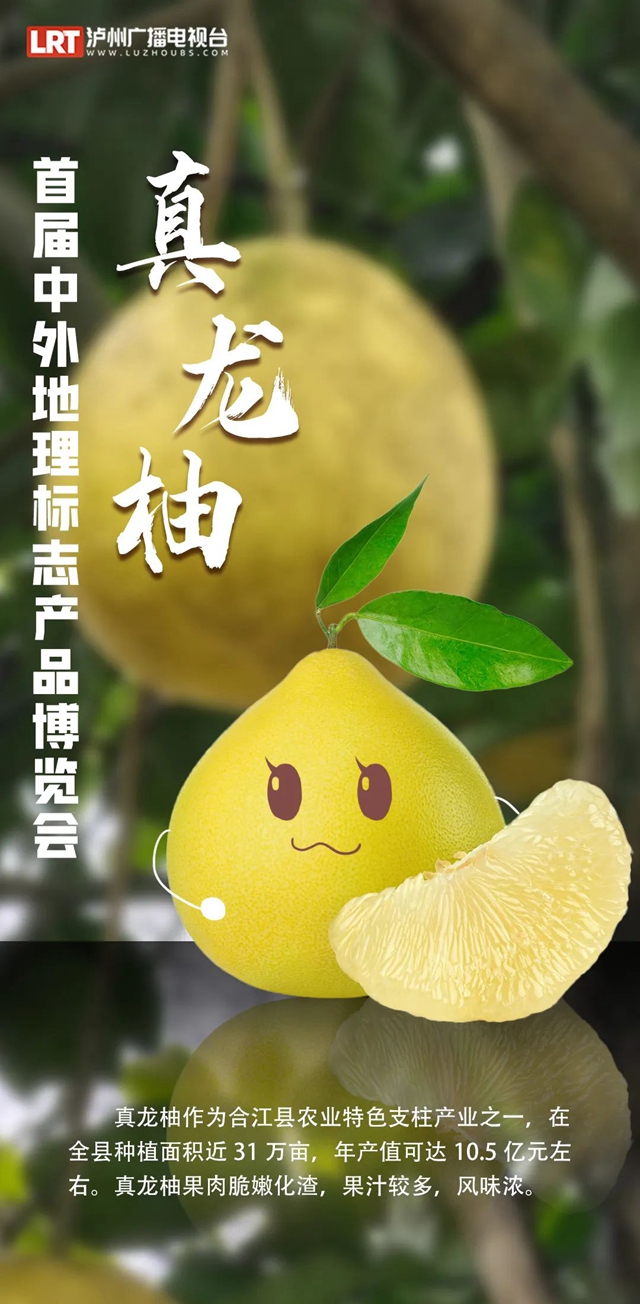 首届中外地标产品博览会今日在泸州开幕!泸州的这些“地标”,你吃过用过没?(图9) 酒9.jpg