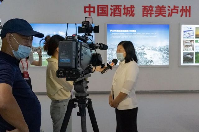 罗汉林亮相2022川渝住博会引关注!(图7) nEO_IMG_17.jpg