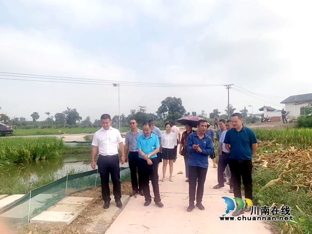 泸州民建牵线搭桥,同心聚力乡村振兴(图1) 7.29调研1.jpg