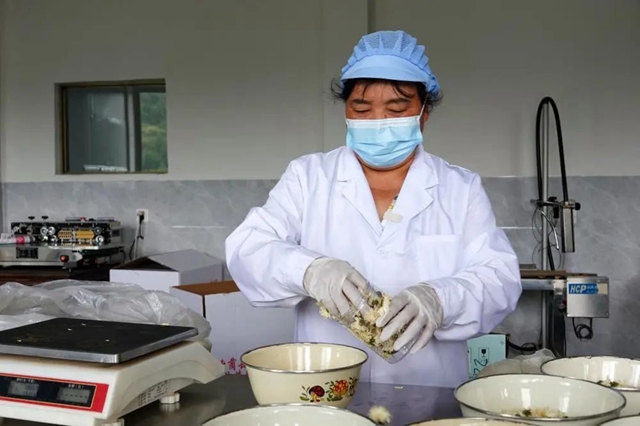 古蔺:夏日采菊忙,花开人喜“银满筐”!(图6) 6.jpg