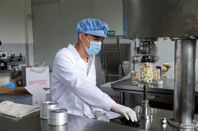 古蔺:夏日采菊忙,花开人喜“银满筐”!(图8) 8.jpg