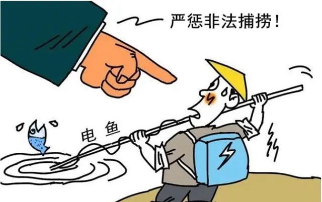 泸州:禁渔期“顶风作案”,3人获刑(图1) 鱼1.jpg