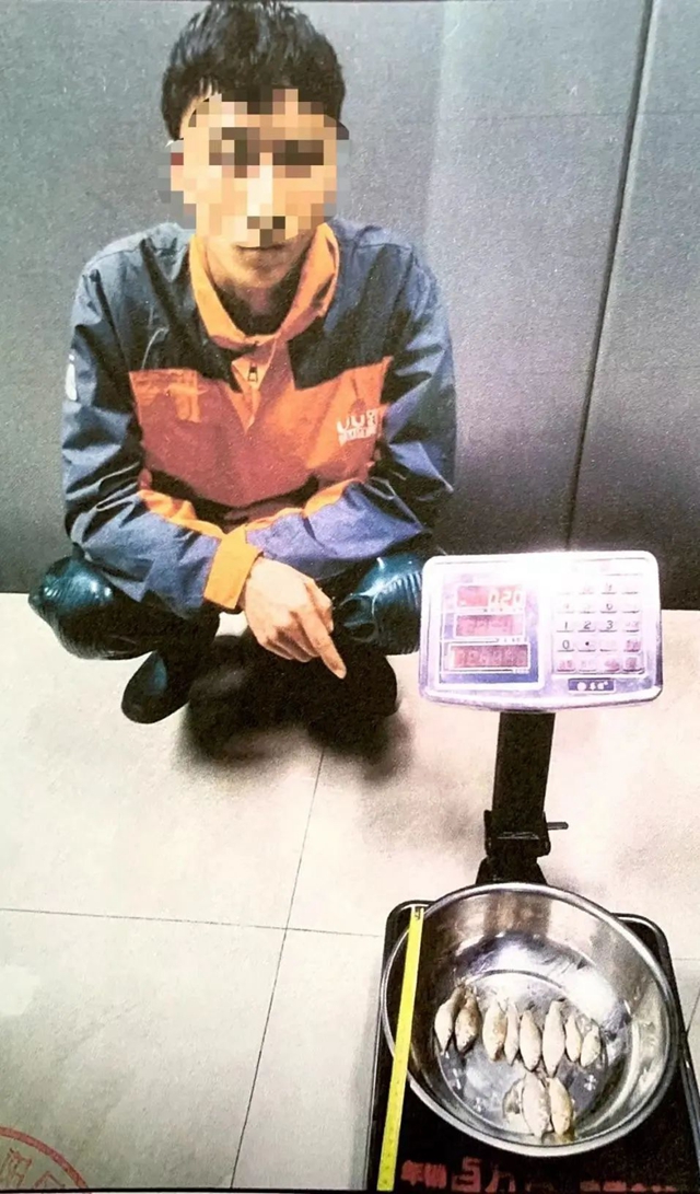 泸州:禁渔期“顶风作案”,3人获刑(图4) 鱼5.jpg