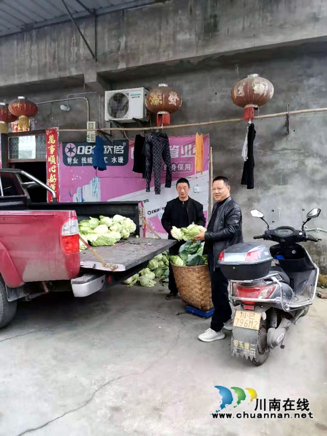 马芝良收购徐正芬家的蔬菜.jpg