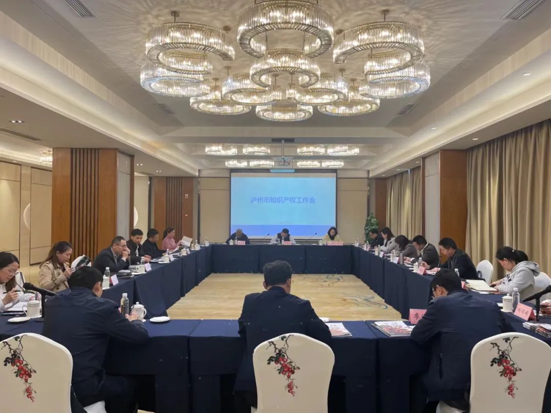 泸州市获批建设首批国家知识产权强市建设试点城市(图3) 3.jpg