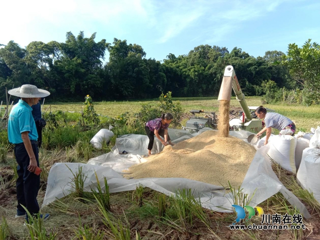 合江县法王寺镇:回引乡贤创办农机合作社,锻造乡村振兴新引擎(图1) 1.jpg