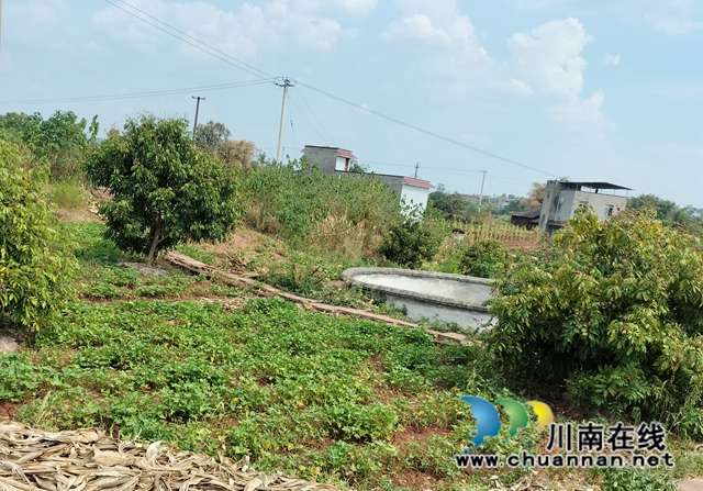 泸县立石镇:引水灌溉为农田“解渴”,保农作物丰产丰收(图1) mmexport1660550019090.jpg