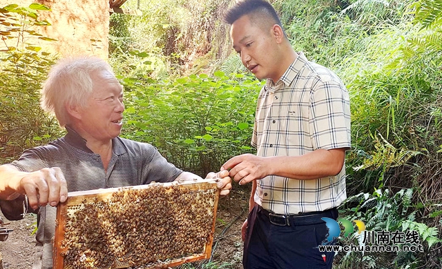图1：王林（右）查看王殿均的蜂脾.jpg