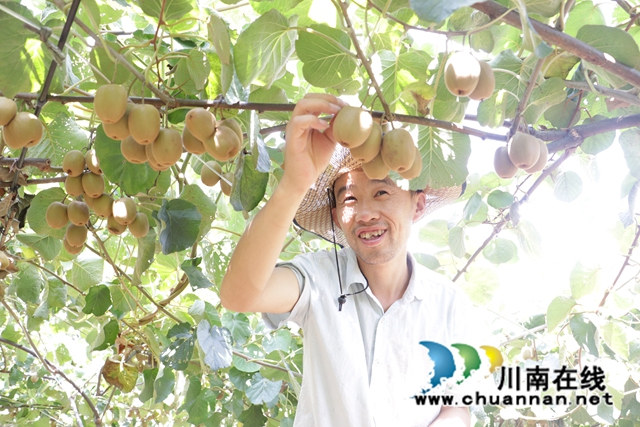 摘猕猴桃-男-笑.JPG