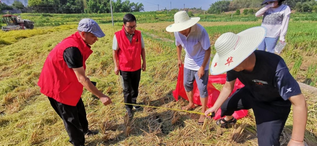 泸州市农业农村局开展水稻机收损失监测调查工作(图2) 2.jpg