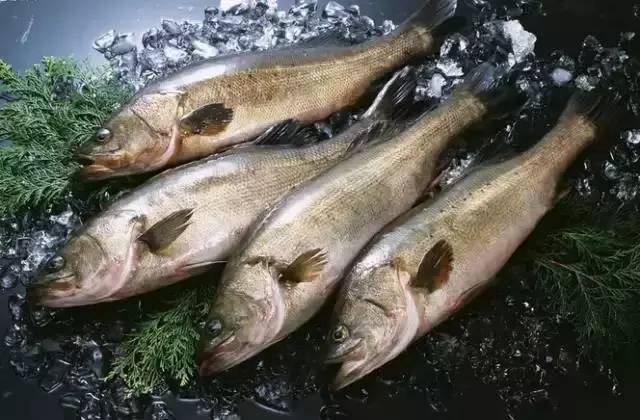 【分享】原来这些食品统统不能放冰箱(图3) 3.jpg