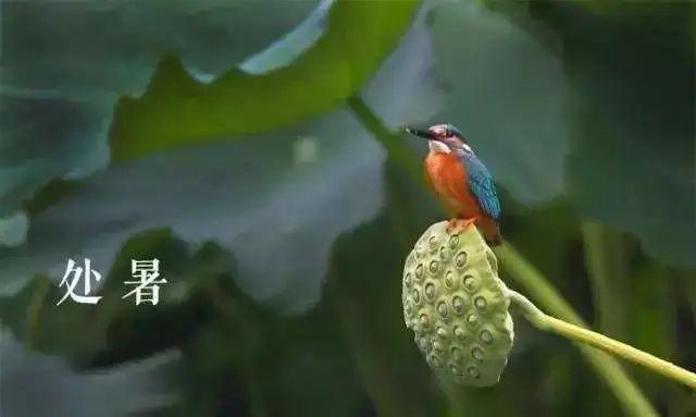 【扩散】今天过后,要开始降温了?(图5) 5.jpg