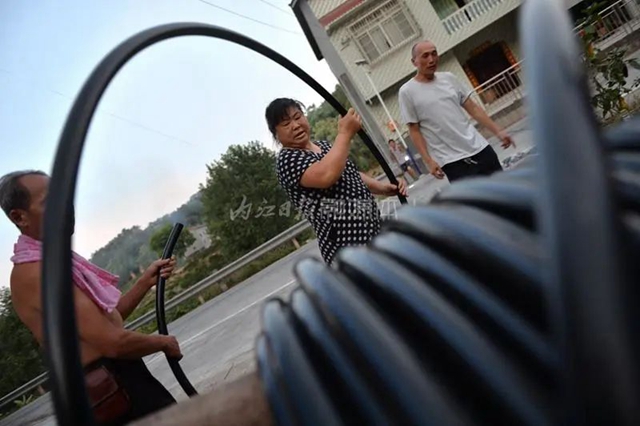 破防!一位内江大姐的哭诉:我就差用眼泪去浇树了……(图5) 5.jpg