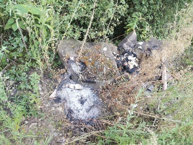 【警示】天干物燥,勿烧野火!古蔺又有两人遭了(图6) 6.jpg