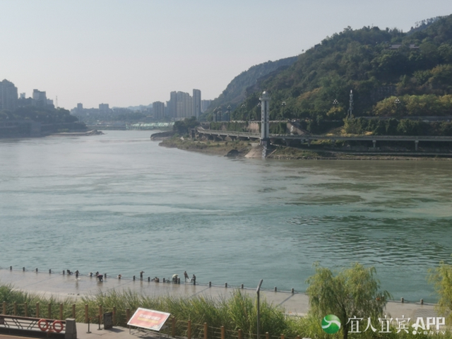 超20天无雨!长江宜宾站出现“汛期反枯”!(图3) 3.jpg