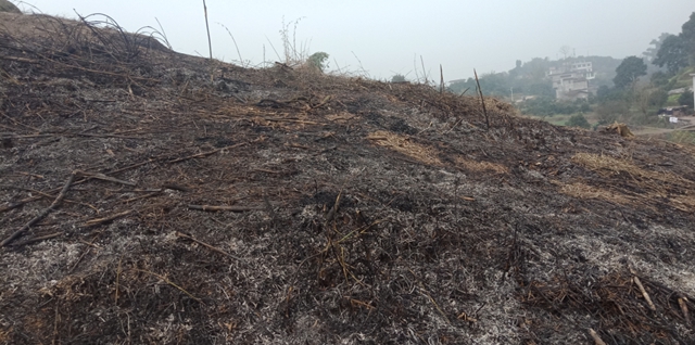 以案示警丨合江县公布森林防火十起典型案例(图1) 1.jpg