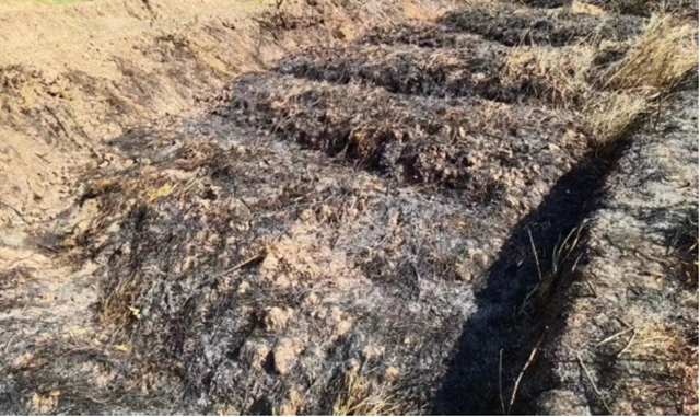 以案示警丨合江县公布森林防火十起典型案例(图4) 4.jpg