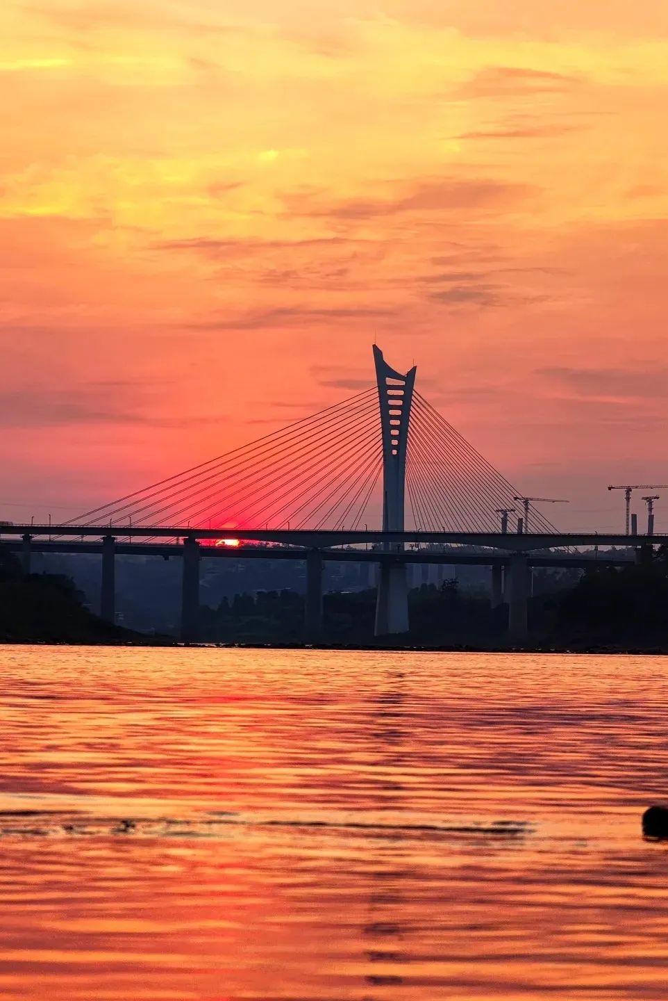 泸州的桥,有你未曾见过的美!(图15) 4.jpg