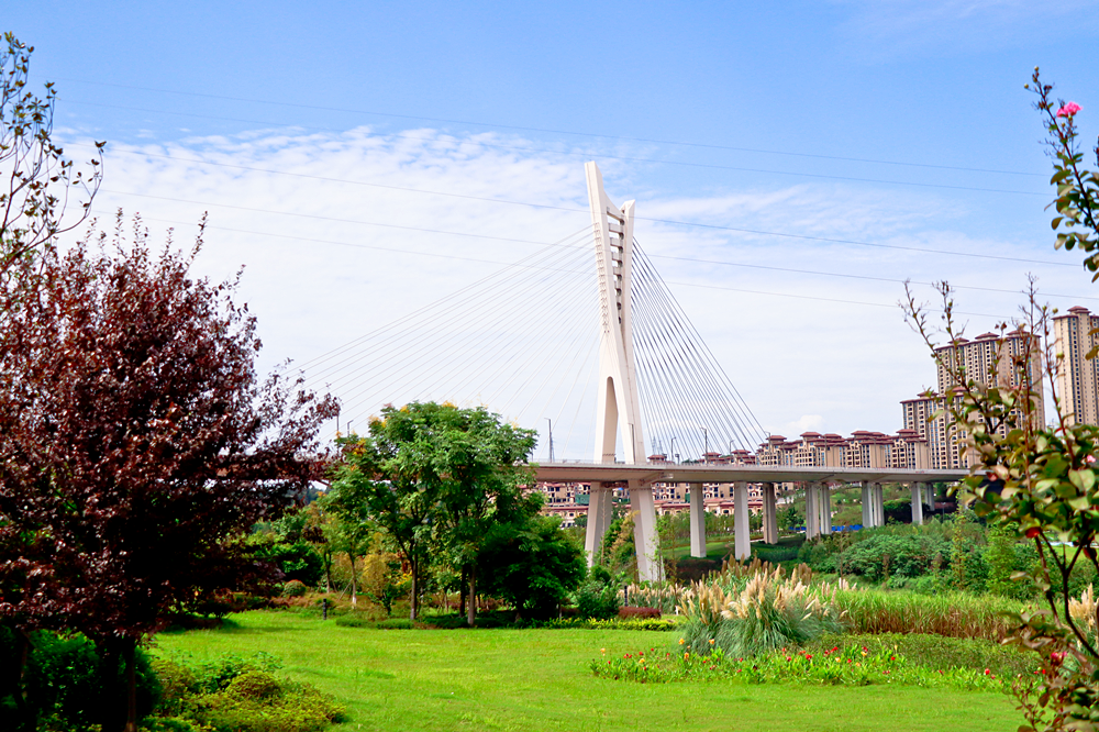 泸州的桥,有你未曾见过的美!(图17) 10.png
