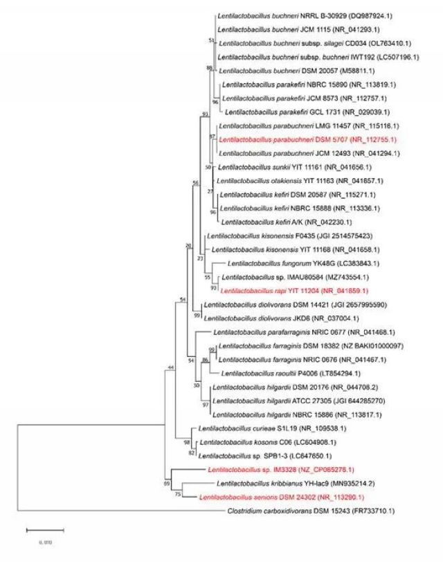 【新发现】泸州老窖窖池发现迄今最小基因组的乳杆菌新种(图4) nEO_IMG_14.jpg