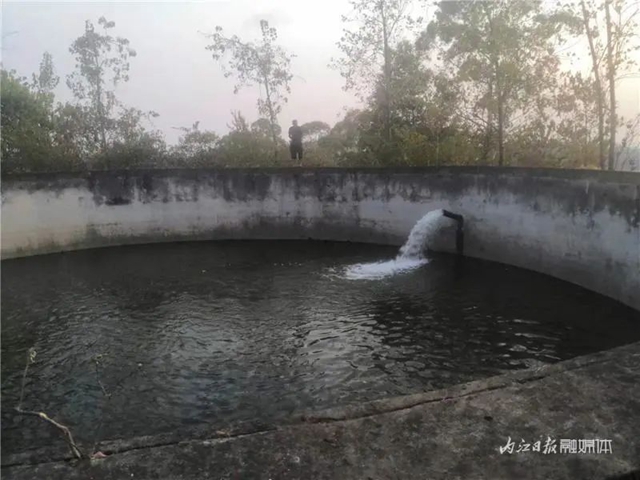 内江市民想知道:经历干旱,今冬还能吃上“水心坝萝卜”吗?(图5) 5.jpg