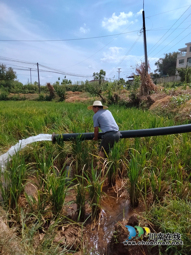 九三学社泸县基层委助力森林防灭火抗旱减灾工作(图3) 3.jpg