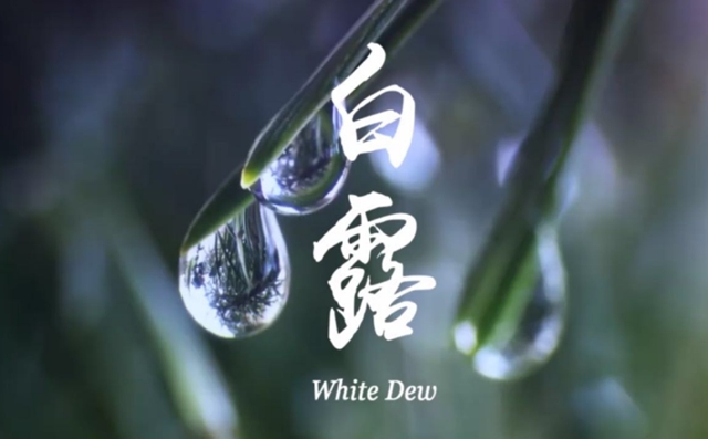 【扩散】今天开始,不能再打光胴胴了!(图4) 4.jpg