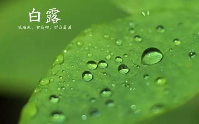 【扩散】今天开始,不能再打光胴胴了!(图5) 5.jpg