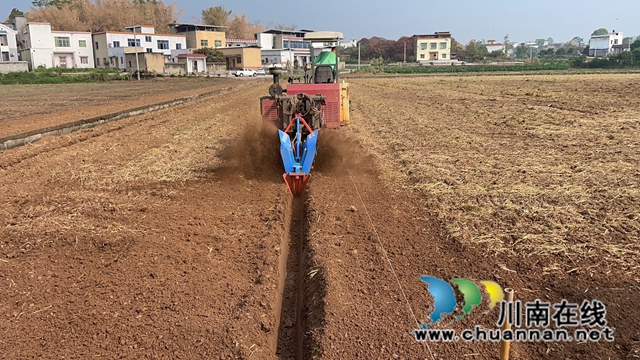泸县:抓实农村疫情防控 打好晚秋生产攻坚战(图4) 土豆播种前,旋耕机在开沟。.jpg
