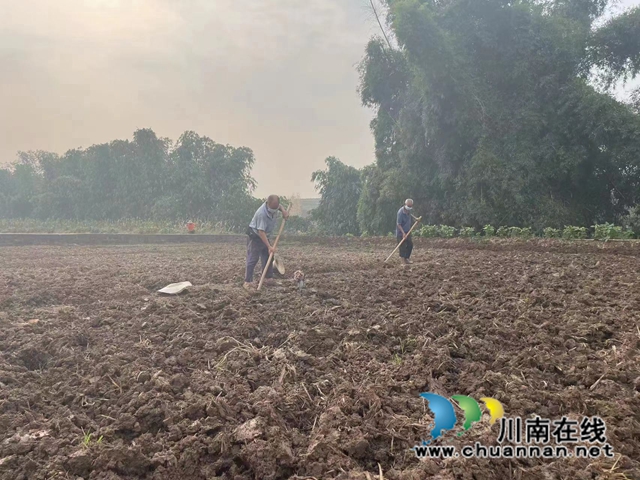 泸县:抓实农村疫情防控 打好晚秋生产攻坚战(图5) 村民播种.jpg
