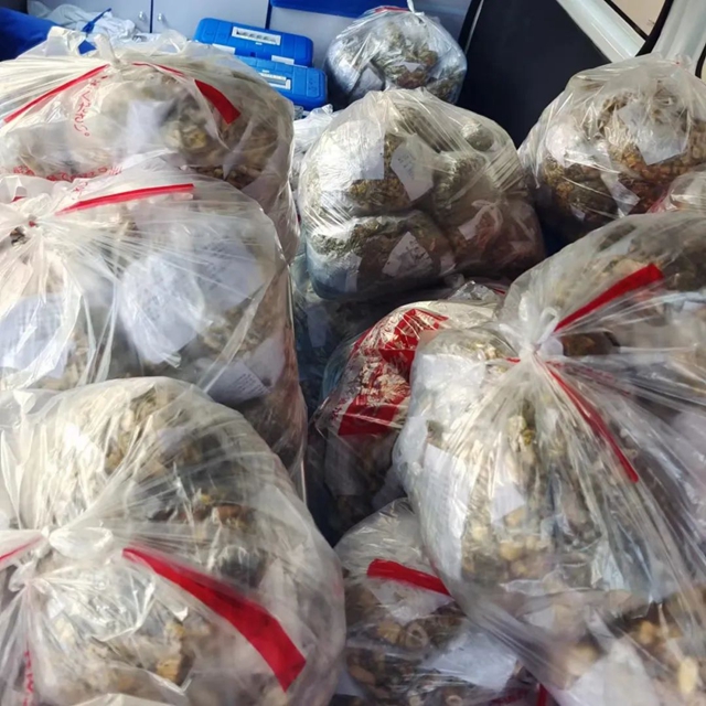 【战“疫”记录】义无反顾,奔赴一线:这就是天使的模样!(图35) 35.jpg